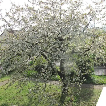 Appartement Hochwertiges Im Romantischen Franken *